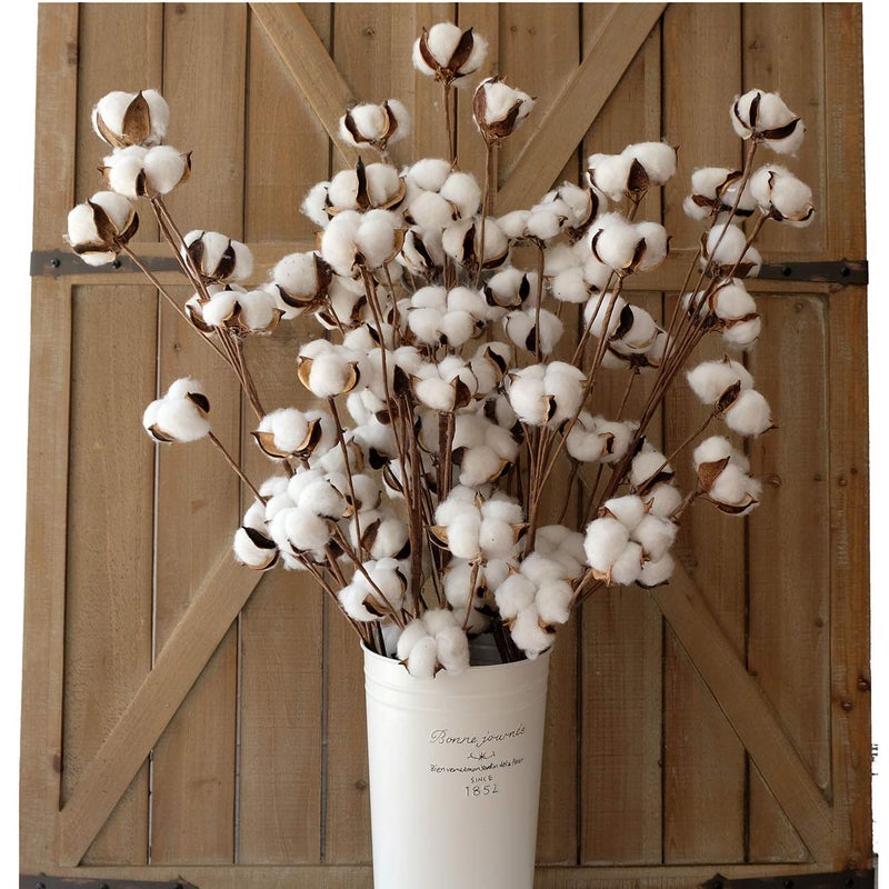 idyllic Cotton Stems Decor Branches, Cotton Flowers Plants for Decorations, Dried Flowers for Vase, 6 Pcs-31 Inches Tall - 12 Bolls per Stem - Image 1
